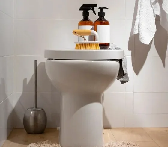 Toilet repair process Greater Napanee